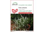 Saflax - Timo Comune - 200 Semi - Thymus