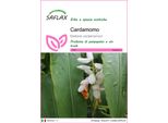 Saflax - Cardamomo - 20 Semi - Elettaria