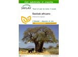Saflax - Baobab Africano - 6 Semi - Con Substrato - Adansonia