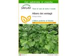 Saflax - Albero Dei Ventagli - 4 Semi - Con Substrato - Ginkgo