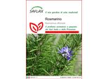 Saflax - Rosmarino - 100 Semi - Rosmarinus
