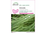 Saflax - Citronella - 50 Semi - Cymbopogon