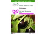 Saflax - Melanzana - 20 Semi - Con Substrato - Solanum
