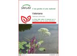 Saflax - Valeriana - 200 Semi - Valeriana