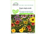 Saflax - Sogno Degli Uccelli - 1000 Semi - Mix