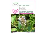 Saflax - Liquirizia - 30 Semi - Glycyrrhiza