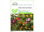 Saflax - Prato Di Fiori Da Recidere - 1000 Semi - Mix