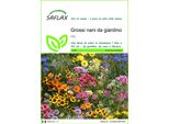 Saflax - Grossi Nani Da Giardino - 1000 Semi - Mix