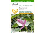 Saflax - Banano Rosa - 8 Semi - Con Substrato - Musa
