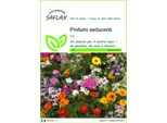 Saflax - Profumi Seducenti - 1000 Semi - Mix