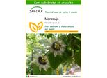 Saflax - Maracuja - 40 Semi - Con Substrato - Passiflora