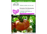 Saflax - Pomodoro Pink Brandywine - 10 Semi - Con Substrato - Lycopersicon