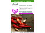 Saflax - Peperoncino Di Cayenna - 20 Semi - Con Substrato - Capsicum