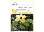 Saflax - Albero Di Orchidea Gialla - 30 Semi - Bauhinia