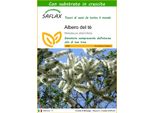 Saflax - Albero Del Tè - 400 Semi - Con Substrato - Melaleuca