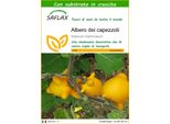 Saflax - Albero Dei Capezzoli - 10 Semi - Con Substrato - Solanum