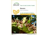 Saflax - Banano - 10 Semi - Musa