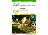 Saflax - Banano - 10 Semi - Con Substrato - Musa