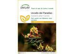 Saflax - Uccello Del Paradiso - 10 Semi - Caesalpinia