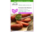 Saflax - Pomodoro San Marzano - 10 Semi - Con Substrato - Lycopersicon