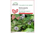 Saflax - Menta Piperita - 300 Semi - Mentha