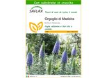 Saflax - Orgoglio Di Madeira - 100 Semi - Con Substrato - Echium