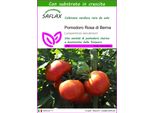 Saflax - Pomodoro Rosa Di Berna - 10 Semi - Con Substrato - Lycopersicon