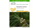 Saflax - Casuarina Comune - 200 Semi - Con Substrato - Casuarina