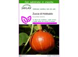 Saflax - Zucca Di Hokkaido - 10 Semi - Con Substrato - Cucurbita