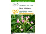 Saflax - Pianta Del Tabacco - 250 Semi - Con Substrato - Nicotiana