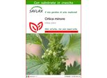 Saflax - Ortica Minore - 150 Semi - Con Substrato - Urtica