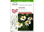 Saflax - Camomilla - 300 Semi - Con Substrato - Matricaria