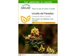 Saflax - Uccello Del Paradiso - 10 Semi - Con Substrato - Caesalpinia