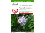 Saflax - Fiore Della Passione - 5 Semi - Con Substrato - Passiflora