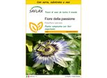 Saflax Insieme Di Coltivazione - Fiore Della Passione - 25 Semi - Passiflora