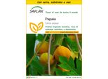 Saflax Insieme Di Coltivazione - Papaia - 30 Semi - Carica