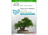 Saflax - Ciliegio Canino / Magaleppo - 30 Semi - Con Substrato - Prunus