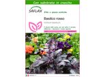 Saflax - Basilico Rosso - 200 Semi - Con Substrato - Ocimum
