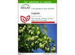 Saflax - Luppolo - 50 Semi - Con Substrato - Humulus