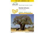 Saflax Insieme Di Coltivazione - Baobab Africano - 6 Semi - Adansonia