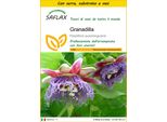 Saflax Insieme Di Coltivazione - Granadilla - 12 Semi - Passiflora