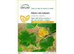 Saflax - Albero Dei Tulipani - 20 Semi - Liriodendron