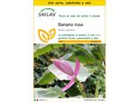Saflax Insieme Di Coltivazione - Banano Rosa - 8 Semi - Musa