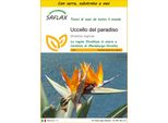 Saflax Insieme Di Coltivazione - Uccello Del Paradiso - 5 Semi - Strelitzia