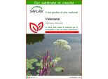 Saflax - Valeriana - 200 Semi - Con Substrato - Valeriana