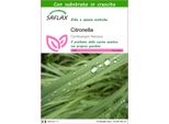 Saflax - Citronella - 50 Semi - Con Substrato - Cymbopogon