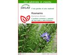 Saflax - Rosmarino - 100 Semi - Con Substrato - Rosmarinus