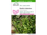 Saflax - Basilico Tailandese - 200 Semi - Con Substrato - Ocimum