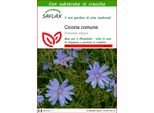 Saflax - Cicoria Comune - 250 Semi - Con Substrato - Cichorium