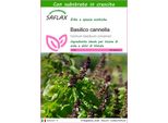 Saflax - Basilico Cannella - 200 Semi - Con Substrato - Ocimum